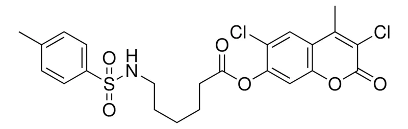 Sigma-Aldrich 6(TOLUENE-4-SULFONYLAMINO)HEXANOIC ACID 3,6-DI-CL-4-ME-2-OXO-2H-CHROMEN7YL ESTER,AldrichCPR