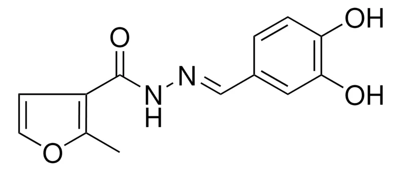 Sigma-Aldrich N'-(3,4-DIHYDROXYBENZYLIDENE)-2-METHYL-3-FUROHYDRAZIDE,AldrichCPR