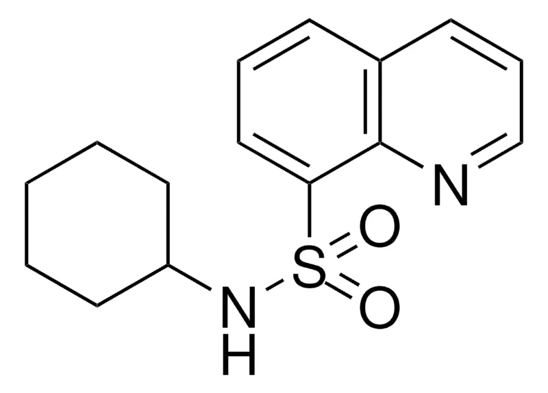 Sigma-Aldrich QUINOLINE-8-SULFONIC ACID CYCLOHEXYLAMIDE,AldrichCPR