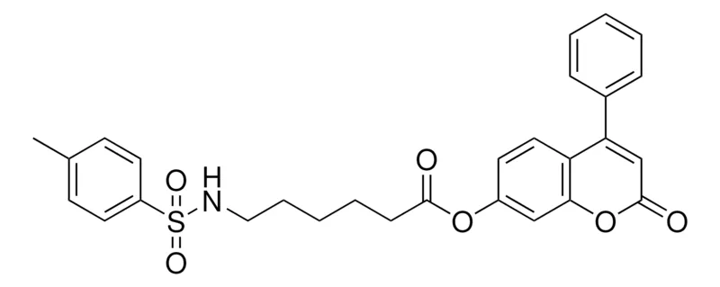 Sigma-Aldrich 6-(TOLUENE-4-SULFONYLAMINO)-HEXANOIC ACID 2-OXO-4-PHENYL-2H-CHROMEN-7-YL ESTER,AldrichCPR
