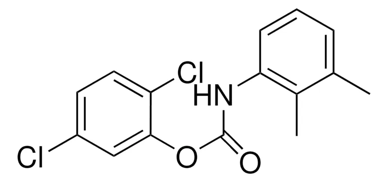 Sigma-Aldrich 2,5-DICHLOROPHENYL N-(2,3-DIMETHYLPHENYL)CARBAMATE,AldrichCPR