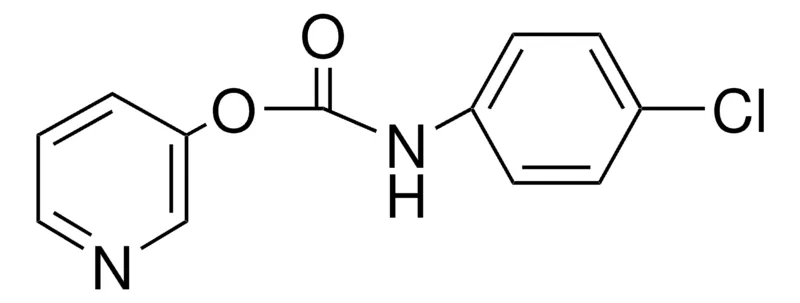 Sigma-Aldrich 3-PYRIDYL N-(4-CHLOROPHENYL)CARBAMATE,AldrichCPR