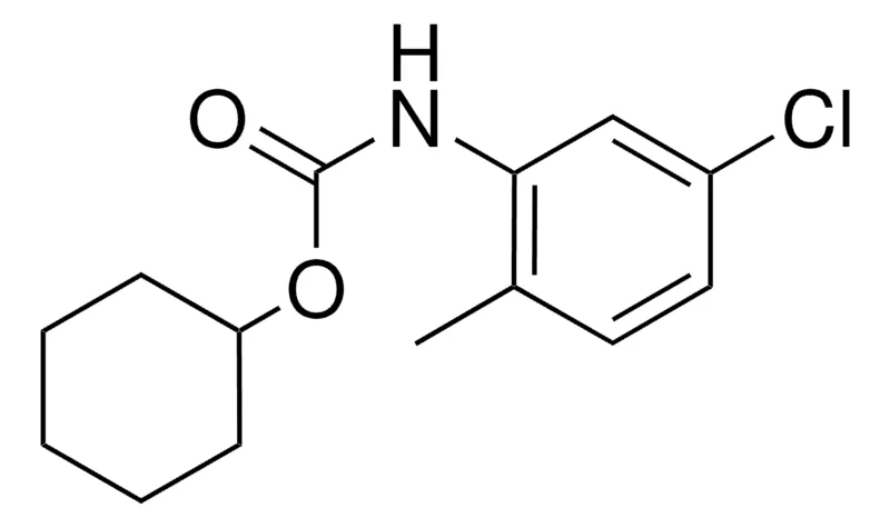Sigma-Aldrich CYCLOHEXYL N-(5-CHLORO-2-METHYLPHENYL)CARBAMATE,AldrichCPR