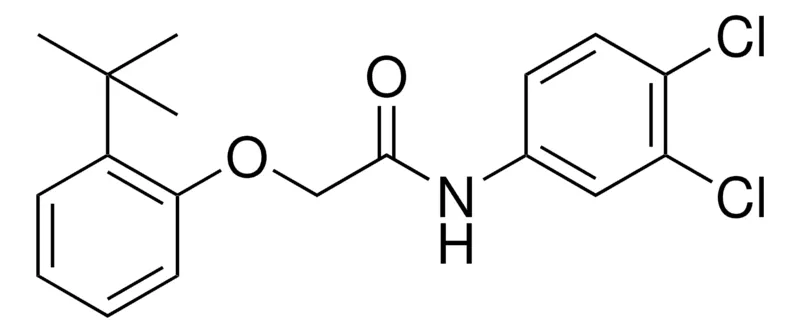 Sigma-Aldrich 2-(2-TERT-BUTYL-PHENOXY)-N-(3,4-DICHLORO-PHENYL)-ACETAMIDE,AldrichCPR