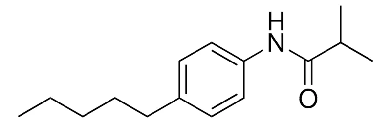 Sigma-Aldrich N-(4-PENTYL-PHENYL)-ISOBUTYRAMIDE,AldrichCPR