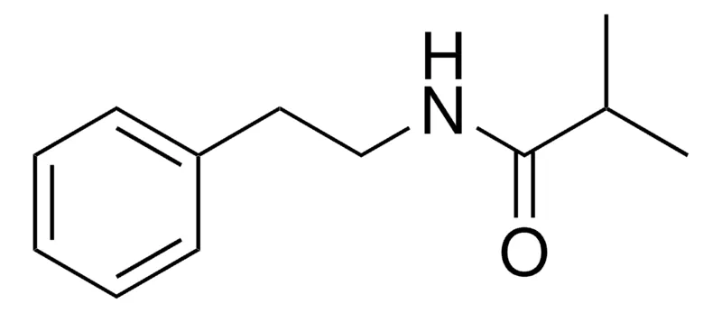Sigma-Aldrich N-PHENETHYL-ISOBUTYRAMIDE,AldrichCPR