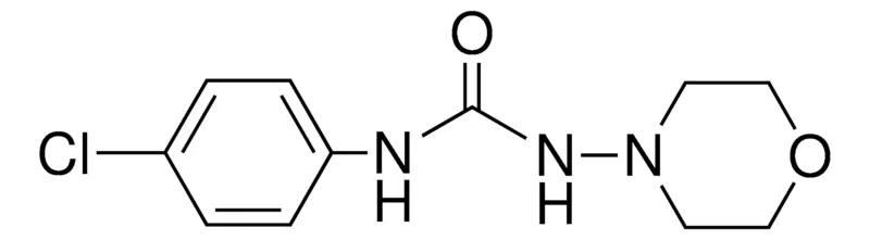Sigma-Aldrich 1-(4-CHLORO-PHENYL)-3-MORPHOLIN-4-YL-UREA,AldrichCPR