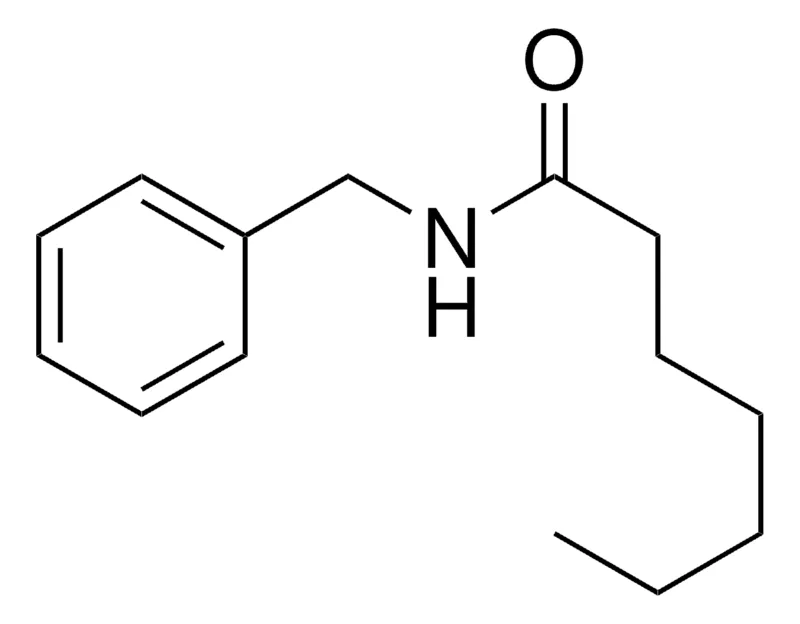 Sigma-Aldrich N-BENZYLHEPTANAMIDE,AldrichCPR
