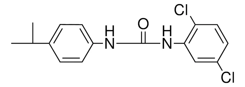 Sigma-Aldrich 1-(2,5-DICHLORO-PHENYL)-3-(4-ISOPROPYL-PHENYL)-UREA,AldrichCPR