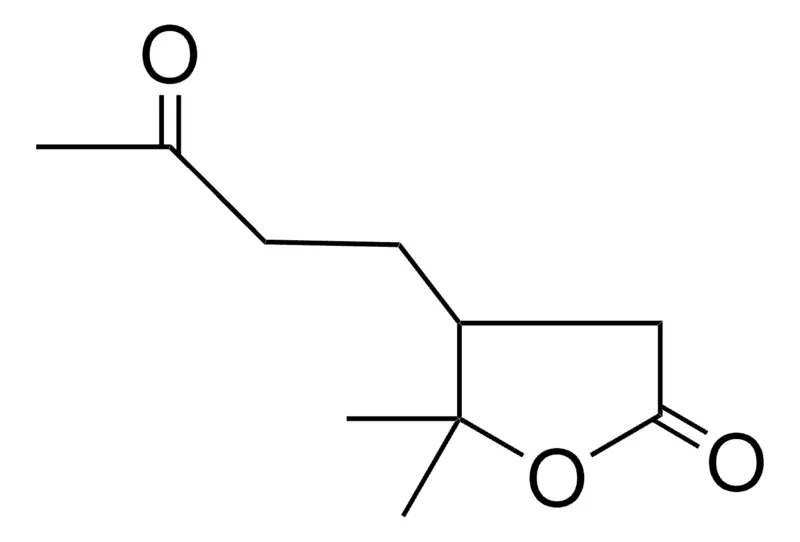 Sigma-Aldrich 4-HYDROXY-4-METHYL-3-(3-OXOBUTYL)-VALERIC ACID GAMMA-LACTONE,AldrichCPR