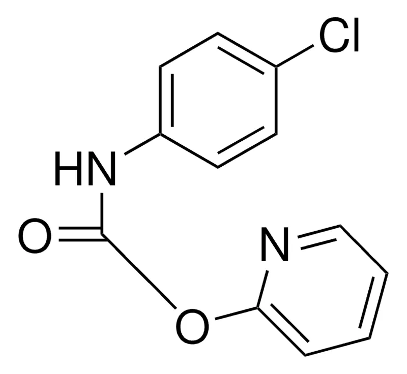 Sigma-Aldrich 2-PYRIDYL N-(4-CHLOROPHENYL)CARBAMATE,AldrichCPR