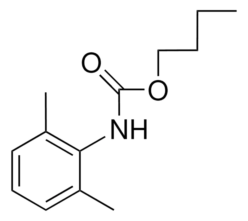 Sigma-Aldrich BUTYL N-(2,6-XYLYL)CARBAMATE,AldrichCPR