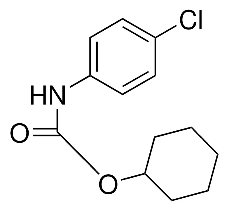Sigma-Aldrich CYCLOHEXYL 4'-CHLOROCARBANILATE,AldrichCPR