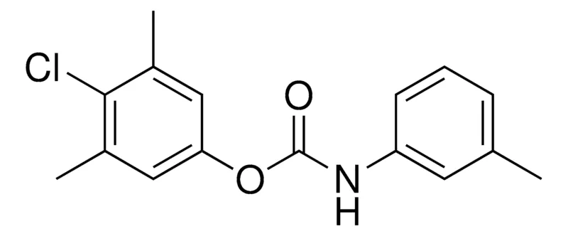 Sigma-Aldrich 4-CHLORO-3,5-DIMETHYLPHENYL N-(M-TOLYL)CARBAMATE,AldrichCPR