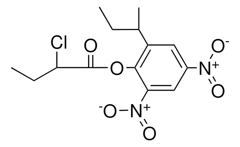 Sigma-Aldrich 2-(SEC-BUTYL)-4,6-DINITROPHENYL 2-CHLOROBUTYRATE,AldrichCPR