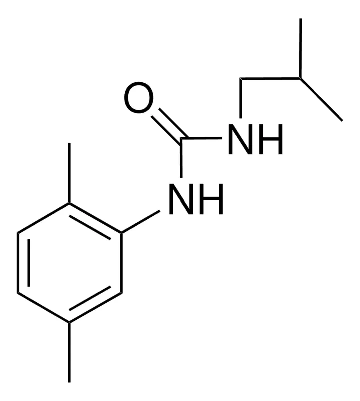 Sigma-Aldrich 1-ISOBUTYL-3-(2,5-XYLYL)UREA，AldrichCPR