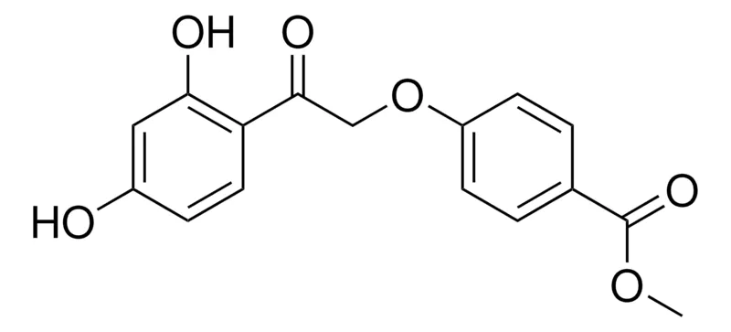 Sigma-Aldrich 4-(2-(2,4-DIHYDROXY-PHENYL)-2-OXO-ETHOXY)-BENZOIC ACID METHYL ESTER,AldrichCPR