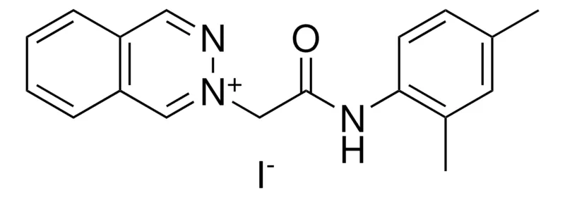 Sigma-Aldrich 2-(2-(2,4-DIMETHYLANILINO)-2-OXOETHYL)PHTHALAZIN-2-IUM IODIDE,AldrichCPR