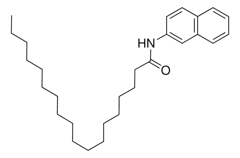 Sigma-Aldrich N-(2-NAPHTHYL)OCTADECANAMIDE,AldrichCPR