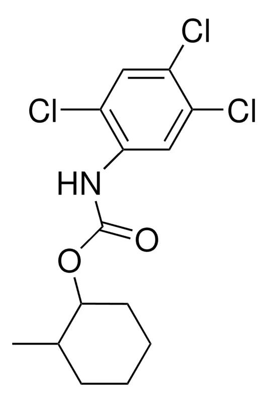 Sigma-Aldrich 2-METHYLCYCLOHEXYL N-(2,4,5-TRICHLOROPHENYL)CARBAMATE,AldrichCPR