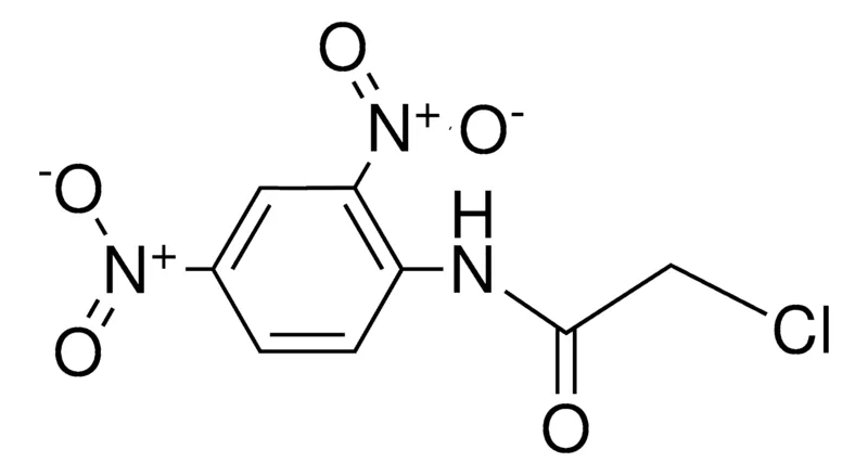 Sigma-Aldrich 2-CHLORO-N-(2,4-DINITRO-PHENYL)-ACETAMIDE,AldrichCPR