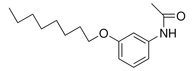 Sigma-Aldrich 3'-(OCTYLOXY)ACETANILIDE，AldrichCPR