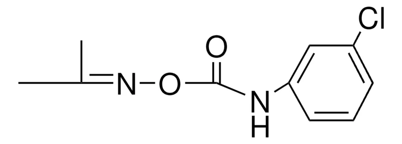 Sigma-Aldrich O-(N-(3-CHLOROPHENYL)CARBAMOYL)ACETONE OXIME,AldrichCPR