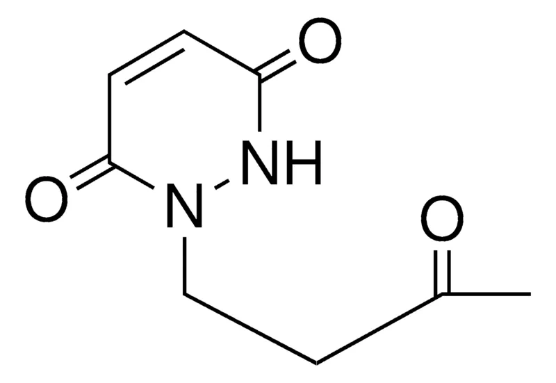 Sigma-Aldrich 1-(3-OXOBUTYL)-3,6(1H,2H)-PYRIDAZINEDIONE,AldrichCPR