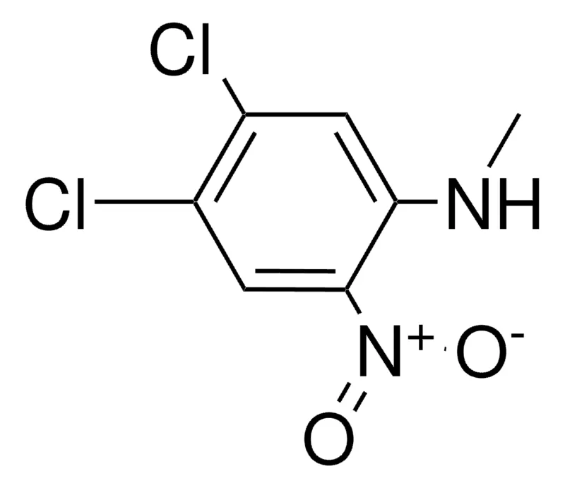 Sigma-Aldrich 4,5-DICHLORO-N-METHYL-2-NITROANILINE,AldrichCPR