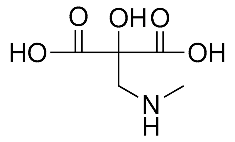 Sigma-Aldrich 2-(METHYLAMINOMETHYL)TARTRONIC ACID,AldrichCPR