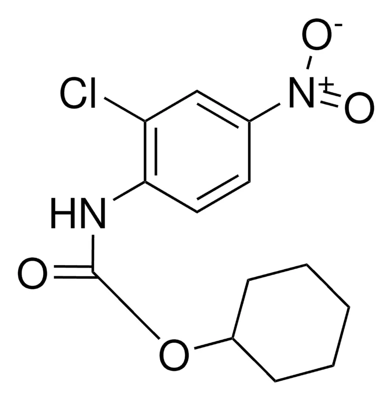 Sigma-Aldrich CYCLOHEXYL N-(2-CHLORO-4-NITROPHENYL)CARBAMATE,AldrichCPR