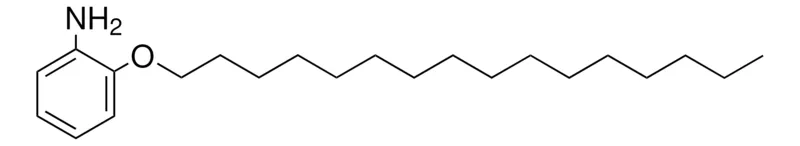 Sigma-Aldrich 2-(HEXADECYLOXY)ANILINE,AldrichCPR