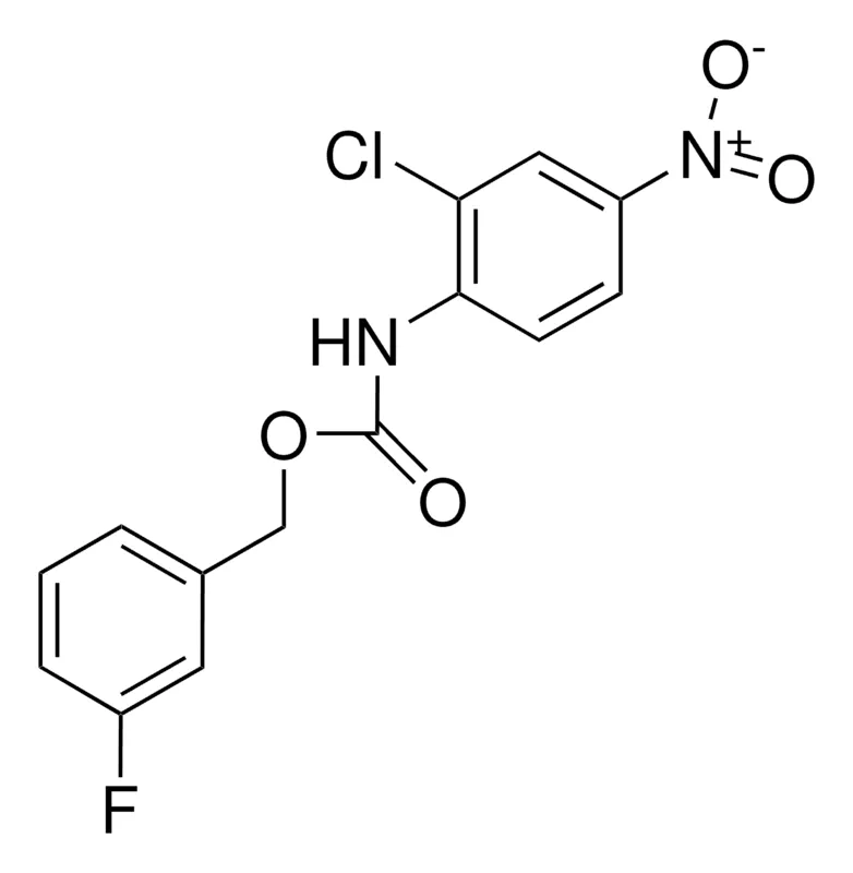 Sigma-Aldrich 3-FLUOROBENZYL N-(2-CHLORO-4-NITROPHENYL)CARBAMATE,AldrichCPR