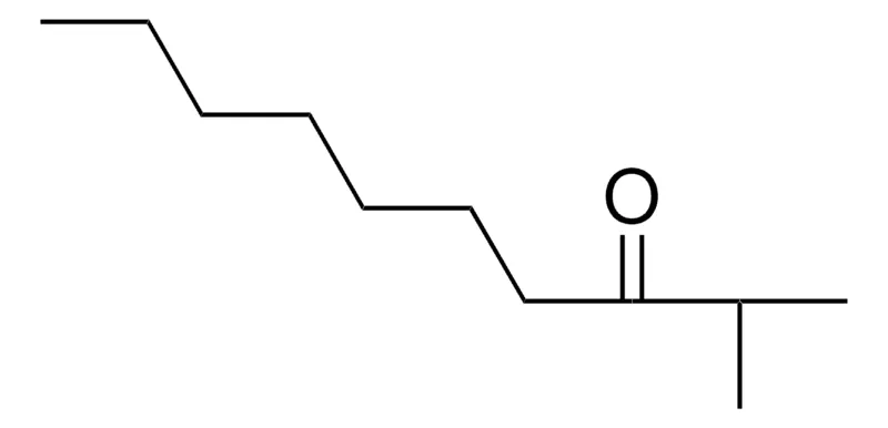 Sigma-Aldrich 2-METHYL-3-DECANONE，AldrichCPR