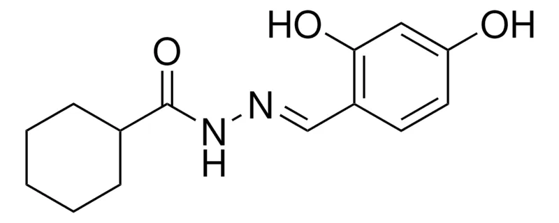 Sigma-Aldrich N'-(2,4-DIHYDROXYBENZYLIDENE)CYCLOHEXANECARBOHYDRAZIDE,AldrichCPR