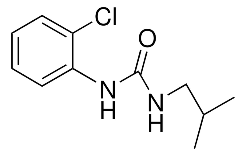 Sigma-Aldrich 1-(2-CHLOROPHENYL)-3-ISOBUTYLUREA,AldrichCPR