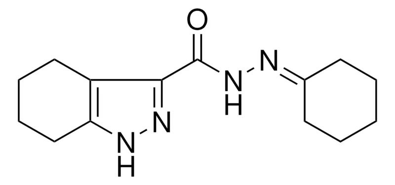 Sigma-Aldrich 4,5,6,7-TETRAHYDRO-1H-INDAZOLE-3-CARBOXYLIC ACID CYCLOHEXYLIDENEHYDRAZIDE,AldrichCPR