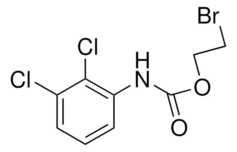 Sigma-Aldrich 2-BROMOETHYL N-(2,3-DICHLOROPHENYL)CARBAMATE,AldrichCPR