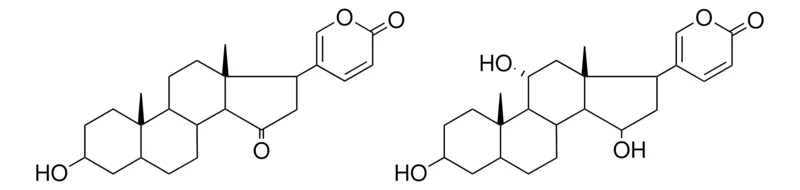 Sigma-Aldrich (11ALPHA)-3,11,15-TRIHYDROXYBUFA-20,22-DIENOLIDE COMPOUND WITH 3-HYDROXY-15-OXOBUFA-20,22-DIENOLIDE，AldrichCPR