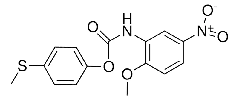 Sigma-Aldrich 4-(METHYLTHIO)PHENYL N-(2-METHOXY-5-NITROPHENYL)CARBAMATE,AldrichCPR