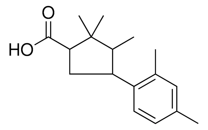 Sigma-Aldrich 4-(2,4-DIMETHYLPHENYL)-2,2,3-TRIMETHYLCYCLOPENTANECARBOXYLIC ACID,AldrichCPR