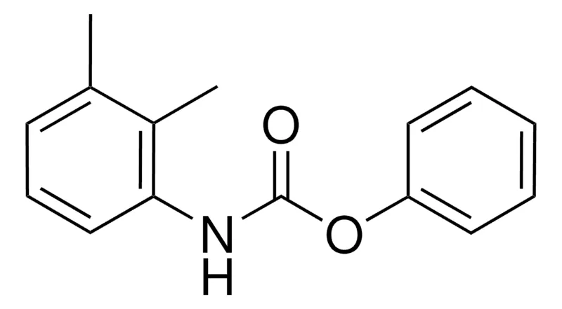 Sigma-Aldrich PHENYL N-(2,3-XYLYL)CARBAMATE，AldrichCPR