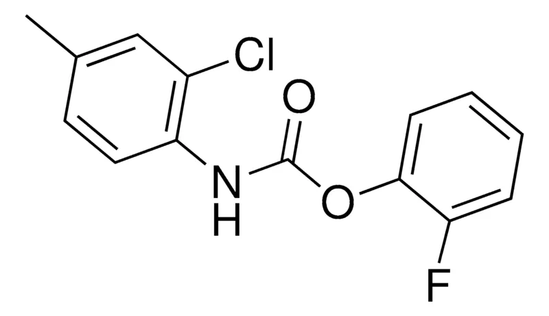 Sigma-Aldrich 2-FLUOROPHENYL N-(2-CHLORO-4-METHYLPHENYL)CARBAMATE,AldrichCPR
