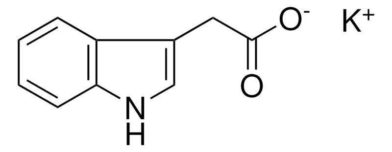 Sigma-Aldrich POTASSIUM, (1H-INDOL-3-YL)-ACETATE,AldrichCPR