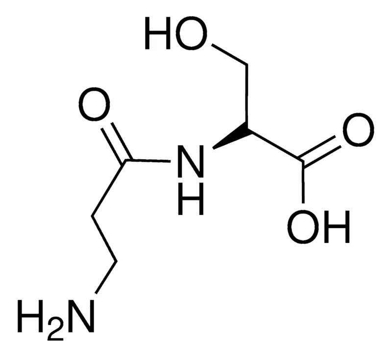 Sigma-Aldrich BETA-ALANYL-L-SERINE,AldrichCPR