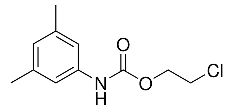 Sigma-Aldrich 2-CHLOROETHYL N-(3,5-XYLYL)CARBAMATE，AldrichCPR