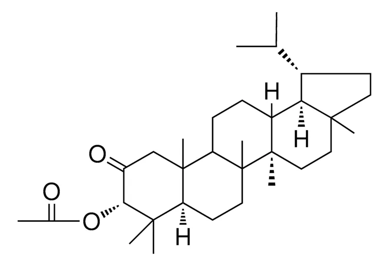 Sigma-Aldrich 2-OXOLUPAN-3-ALPHA-YL ACETATE,AldrichCPR
