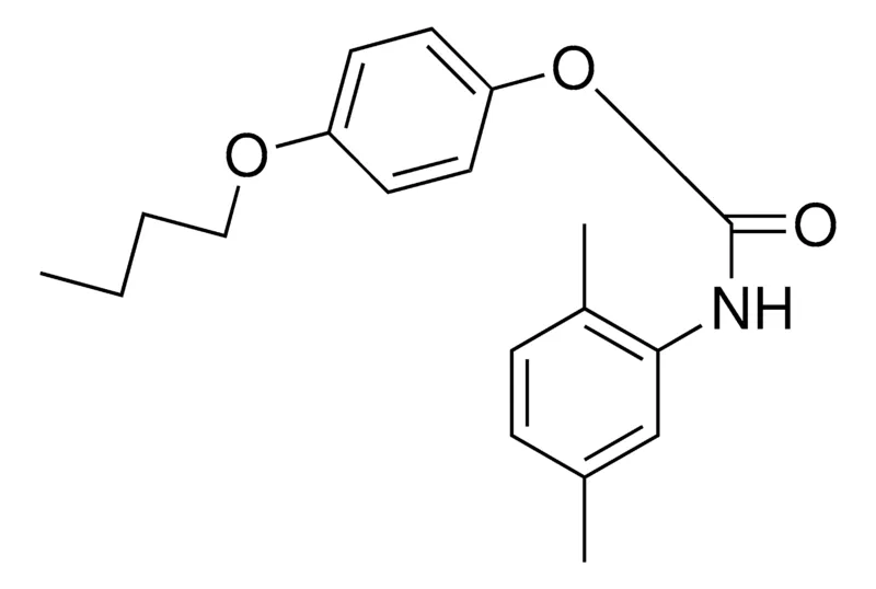 Sigma-Aldrich 4-BUTOXYPHENYL N-(2,5-XYLYL)CARBAMATE，AldrichCPR