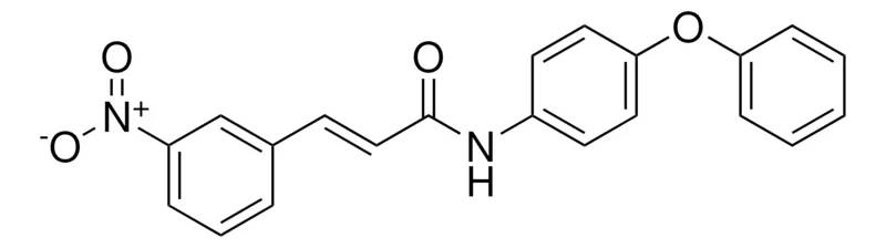 Sigma-Aldrich 3-(3-NITRO-PHENYL)-N-(4-PHENOXY-PHENYL)-ACRYLAMIDE,AldrichCPR
