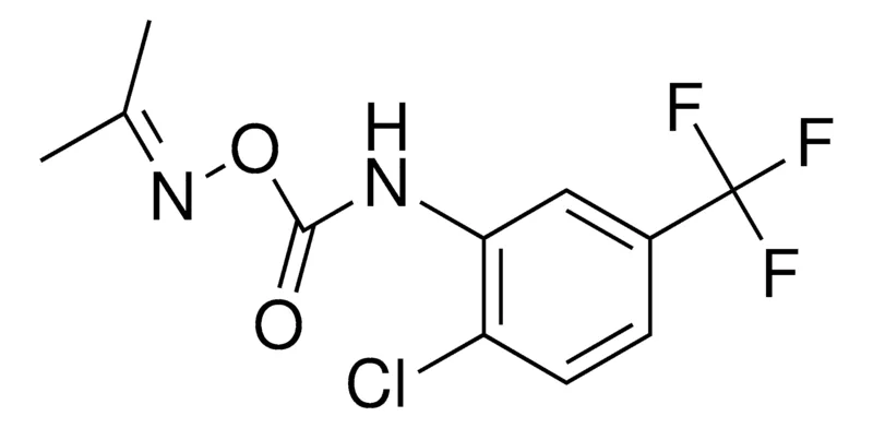 Sigma-Aldrich O-(N-(2-CHLORO-5-TRIFLUOROMETHYLPHENYL)CARBAMOYL)ACETONE OXIME,AldrichCPR